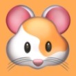 套路直播下载APP应用