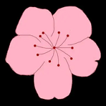 WWW,av919·COM网站APPAPP应用
